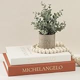 Fveuc Aesthetic Faux Books for Home Decor (Set of 2) - Decorative Book Boxes with Hidden Storage - Ideal for Coffee Table, Living Room, Entryway & Bookshelf - Beige/Terracotta Linen