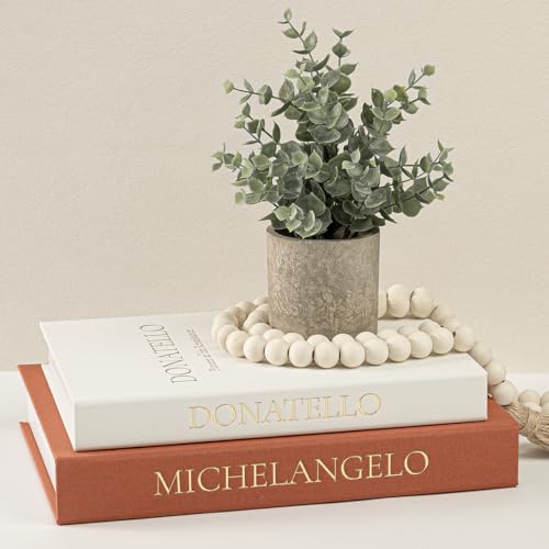Fveuc Aesthetic Faux Books for Home Decor (Set of 2) - Decorative Book Boxes with Hidden Storage - Ideal for Coffee Table, Living Room, Entryway & Bookshelf - Beige/Terracotta Linen