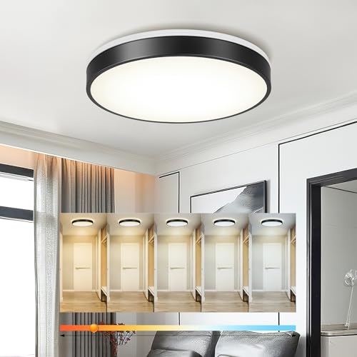 Image of Ken & Ricky 16 inch Modern Flush Mount Ceiling Light,Black,1 Pack
