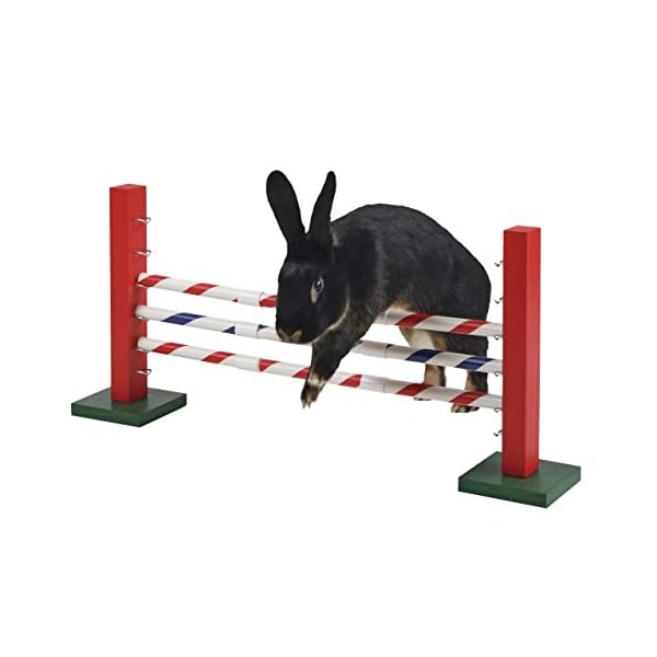 Agility Hoogtesprong, Springhorde Voor Knaagdieren, Konijnen Hindernis 70 X 5 X 35 Cm