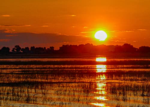 Experience The Magic Of Endless Sunsets: 10 All Occasion Premium Greeting Cards (5 X 7 Inch) Featuring Stunning Photography From Around The World By Marvin Bowser, Blank Inside With Envelopes Included - 10 Unique Designs, 1 Of Each #TOP6