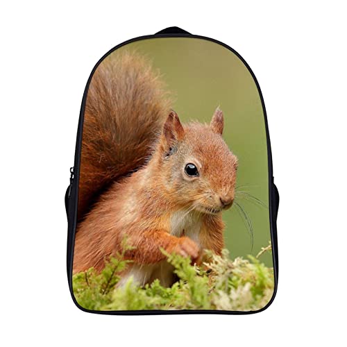 Mochila de ardilla unisex para estudiantes adolescentes un bolso escolar de moda de 40x28x16cm