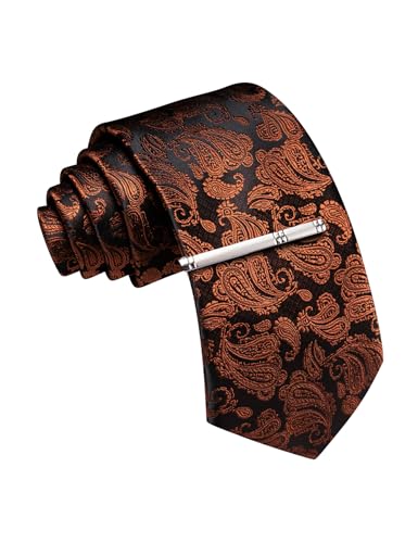 Image of Barry.Wang Paisley Tie for Men Silk Woven Necktie and Tie Clip Set Wedding Party Business Formal