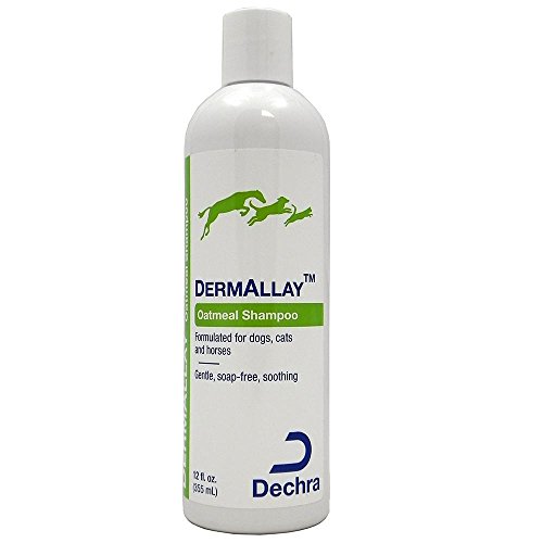 Dechra DermAllay Oatmeal Shampoo for Dogs, Cats, and Horses