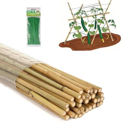 5 Ft Bamboo Stakes with 100 Twist Ties Natural Bamboo Garden Stakes for Tomatoes Cucumber Grapes Pole Beans Trees Potted Dahlia Flowers and Climbing Plants - Pack of 20 (58in Approx 5FT)