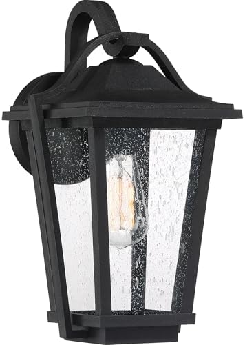 Quoizel Darius Outdoor Wall Lantern, 14.75 Inch 1-Light Earth Black Vintage Wall Sconce, Decorative Wall Light with Clear Seeded Glass, 100W, Outside Lights for Patio, Porch, Garage or Front Door