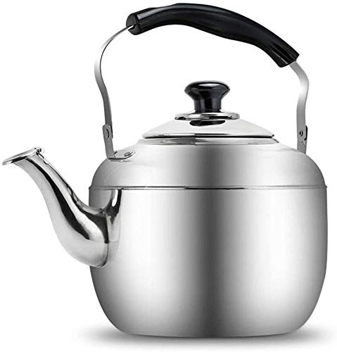 Théière cuisinière à gaz acier inoxydable 5L durable et grande capacité SHISHI