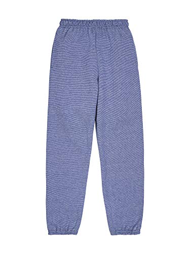 Fruit of the Loom Boys' Fleece Elastic Bottom Sweatpant, Times Square Stripe/Ghost Navy, 2X-Large