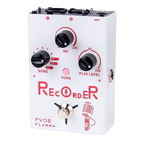 FLAMMA FV05 Recorder Vocal Effects Processor with 70 Minutes Recording Capacity Noise Gate & Reverb Effects for Vocal Guitar Reverb Looper Stompbox for Singer Songwriting Record Creative Inspiration