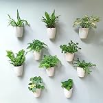 Planteurs muraux pour plantes d'intérieur (4 De pouce, 10 Pack) Planteurs et pots auto-arroseurs, Planteur de mur blanc, Pots muraux hydroponiques modernes Planteur mural vertical Jardin mural vivant