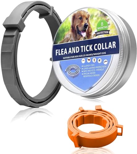 2 PCS Collar para Mascotas, prevención de pulgas y garrapatas para Perros, Collar de Gato Natural, Ajustable/Resistente al Agua/Seguro para la Familia