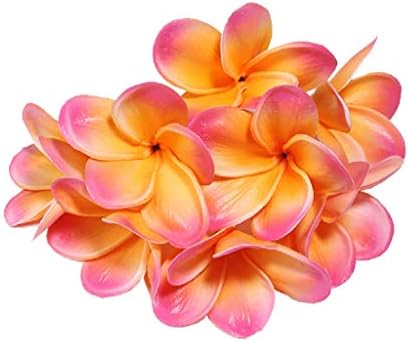 Xilyya 10PCS Natural Real Touch Artificial Not Silk Plumeria Flowers Head with Stem for DIY Cake Decoration and Wedding Bouquets (Apricot)