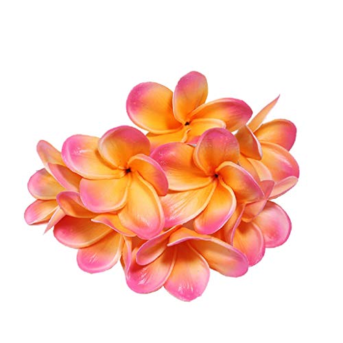 Xilyya 10Pcs Natural Real Touch Artificial Not Silk Plumeria Flowers Head With Stem For Diy Cake Decoration And Wedding Bouquets (Apricot) #TOP12