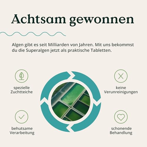 NATURE LOVE® Bio Spirulina + Bio Chlorella - je 3000mg Spirulina & Chlorella pro Tagesdosis - 500 Tabletten - Ohne Zusätze und Bio zertifiziert - Hochdosiert, laborgeprüft und vegan
