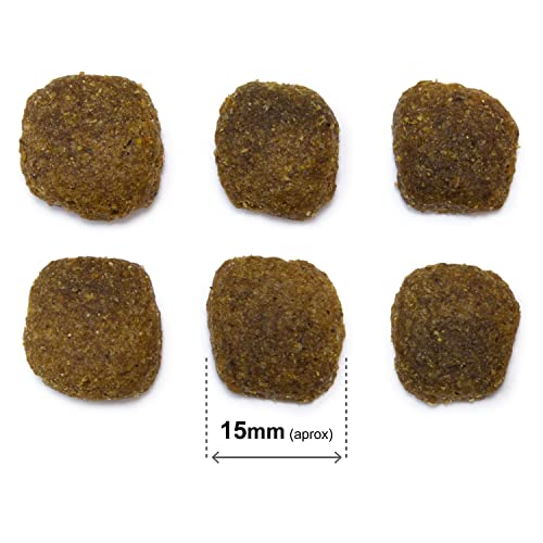 Arquivet Original Adult – Futter für ausgewachsene Hunde – Lachs und Reis, 3 kg (1 Stück)