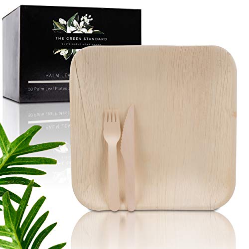GreenStandard Palm Leaf Plates Dinnerware Set Pack of 150 50 Large 10 Square Palm Leaf Dinner Plates 50 Wood Forks 50 Wood Knives Eco Friendly Disposable Dinner Plates Utensils  Compostable
