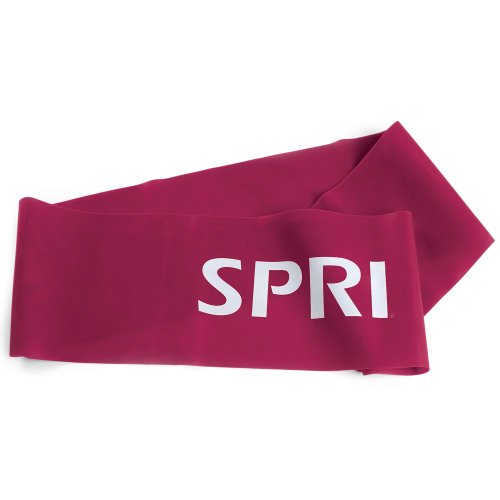 SPRI Flat Band Loop (Plum, Medium)