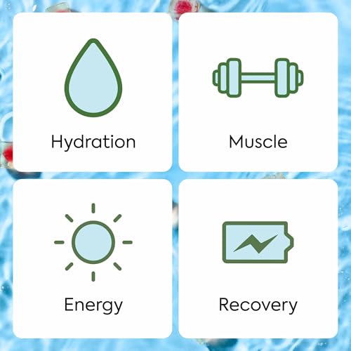 Plant People WonderHydrate Electrolyte Gummies