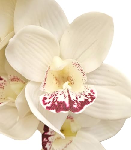 Ekilikua Home | Flores Artificiales | Flores Decorativas | Vara Cymbidium | Ideal para decoración, florero, Bodas, Regalos (Flor Vara Cymbidium)