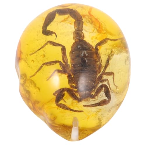 CIYODO Espécimen de ámbar con escorpión colgante, diseño en forma de gota para colección y uso diario Color Aleatorio