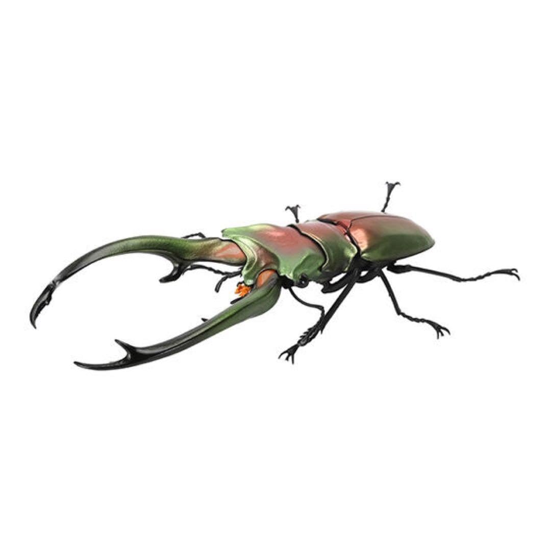 Amazon.co.jp: いきもの大図鑑 エラフスホソアカクワガタ 