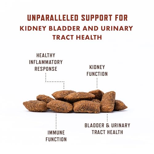 Rocco & Roxie Cat Urinary Tract Health Supplement, Cranberry and D-Mannose for Bladder, UT and Kidney Support for Cats, Vet-Recommended, Chicken-Flavored Crunchy Chews, Made in USA - Image 5