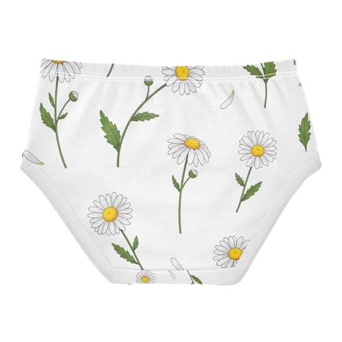 Toddler Girl Briefs, White Daisies Flowers Girls Cotton Underwear, 2–8 Years2