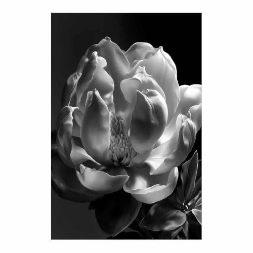 Tableau toile decoration murale magnolia pour l'ambiance de la chambre