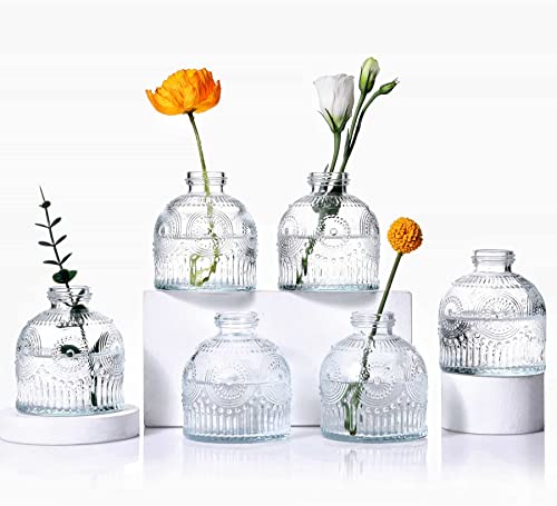 Eidoct Glass Bud Vases Set of 6