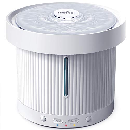 The Best Motion Sensor Cat Water Fountain in 2022 Cats Fountains