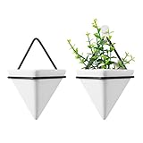 T4U Jardinera Triangular, Conjunto de 2 Jarrón de Jardinera Colgante & Maceta Geométrica Decoración de la Pared Planta de Aire Contenedor para Decoración Regalo para Cumpleaños o Boda (Pequeño)