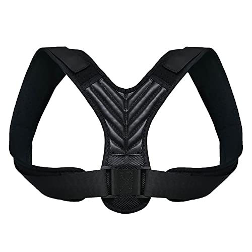 �o�b�N�u���[�X�p���������u ���� �j���p - ���߉\�Ȕw�����p���������u�A��l�p�w���㕔�T�|�[�g�u���[�X�A�{�f�B�E�F���l�X�p���������u�A�w���������u (S) (XL) charitable