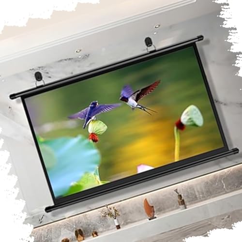Pantalla de proyector manual 72 pulgadas formato 16:9