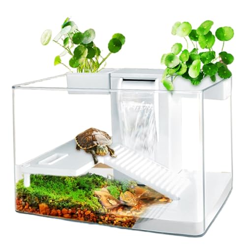 Aquarium, kit d'habitat pour Tortues avec Zone Multifonction et Filtre à Eau Complet pour Tortues et Animaux Aquatiques