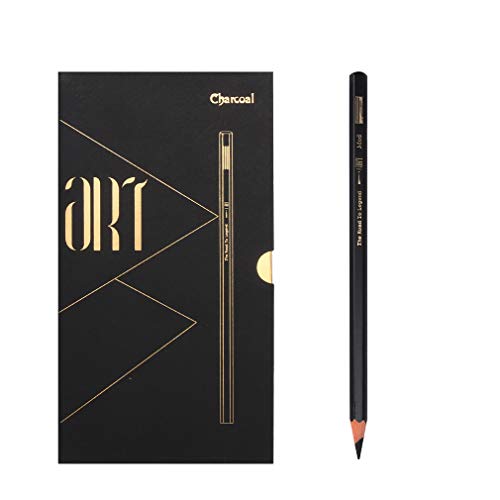 YYMIYU Black Gold Charcoal Pen, Black Silver Drawing Line Medium Charcoal Pencil (12pcs/box of softness)