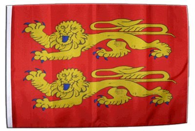 Digni® Drapeau France Basse Normandie, p'tits Cats 30 x 45 cm