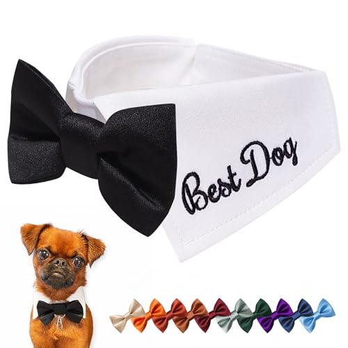 Atuendo de boda personalizado para perro con pajarita