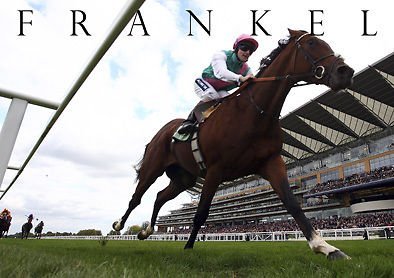 FRANKEL - Race Horse - Champion - A4 Poster - Print - Picture - Art