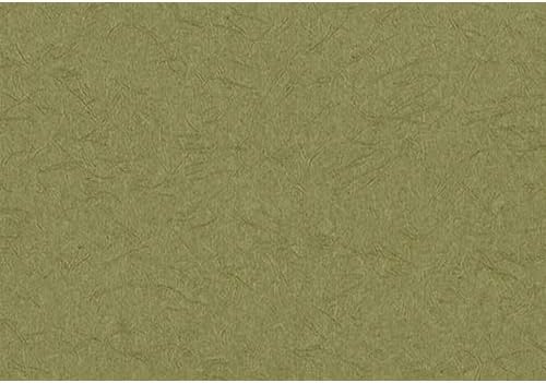 Amazon サンゲツ ファイン 壁紙 クロス 糊なし のり無し Fe6246 旧 Fe1523 1m 注文数 巾92cm 和室 和風 和モダン 日本の彩 抹茶色 まっちゃいろ 壁紙 Amazon サンゲツ ファイン 壁紙 クロス 糊なし のり無し Fe6246 旧 Fe1523 1m 注文数 巾92cm 和室 和風 和モダン 日本の彩 抹茶色 まっちゃいろ 壁紙