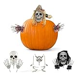 Prextex Halloween Pumpkin Accessories for Best Halloween Pumpkin Décor