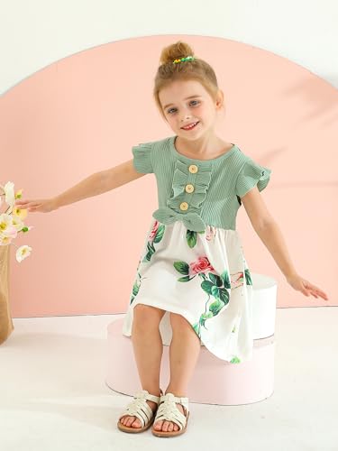 Toddler Infant Baby Girl Dress Floral Ruffle Sleeve Dresses Girls Sundress2