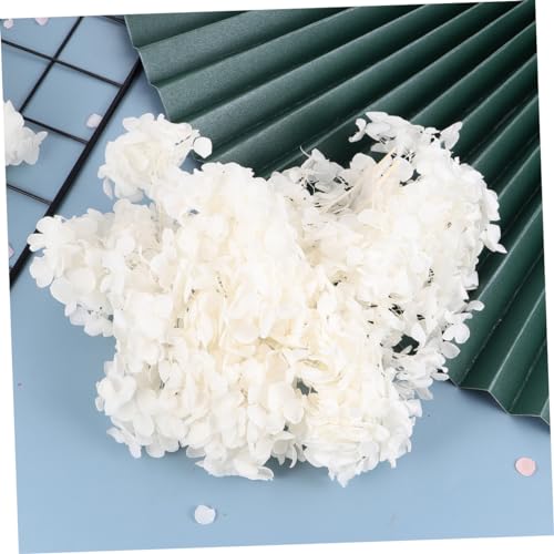 1pack pétalos secos de hortensia blanca para manualidades miniatura 5