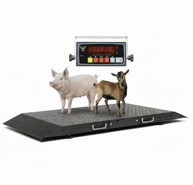 Medium Livestock Scale/Farm Animal Weighing Equipment, Capacity 2000 x 0.2 lb for Sheep, Goat, Alpaca, Pig, etc. Platform 50"x25"