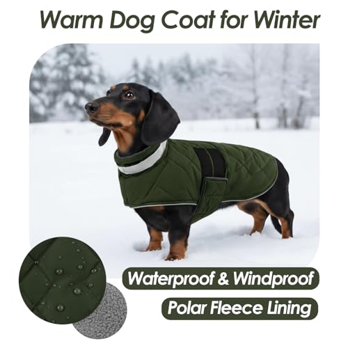 ASENKU Hundemantel für Kleine Hunde XS, Hundemantel Winter Wasserdicht, Fleece Reflektierende Hundejacke Warm mit Verstellbarem,Wintermantel Hund mit Geschirr Loch Karierte für Chihuahua,Dackel