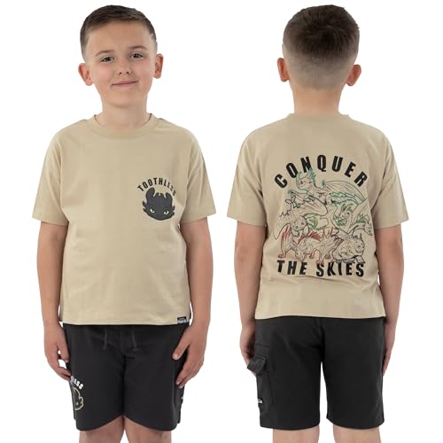 Image of How To Train Your Dragon Shirt And Shorts, Toothless Boys Tshirt And Boys Shorts, Dragon Cotton T Shirt Outfit Set
