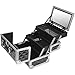 SHANY Chic Makeup Train Case Cosmetic Box Portable Makeup Case Cosmetics Beauty Organizer Jewelry storage with Locks, Multi trays Makeup Storage Box with Makeup Mirror - Black