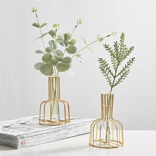 2 Pcs Gold Flower Vase with Metal Frame, Clear...