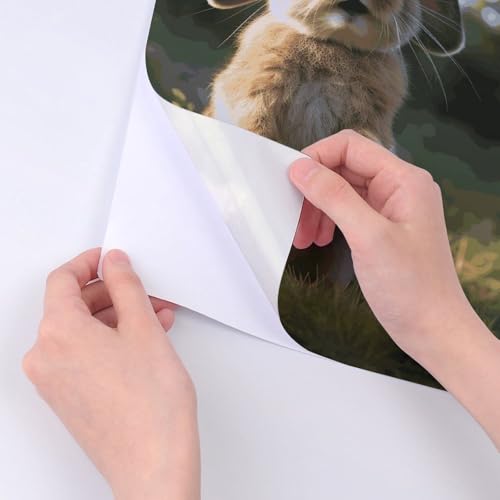 Autocollants lapin en vinyle résistant à l'eau pour PC
