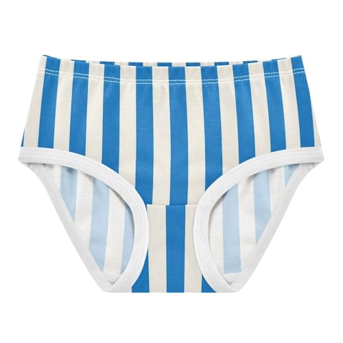 Blue White Stripe Toddler Girls's Underwear 2T 2300896