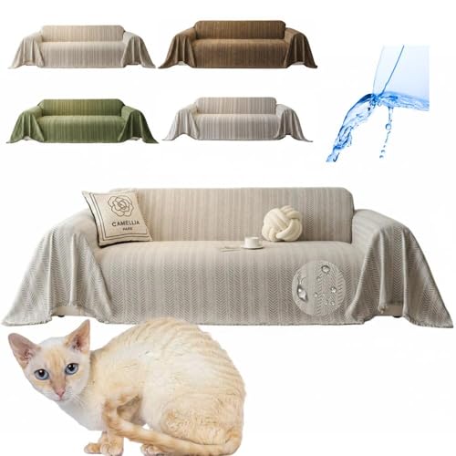 Lifetips W[}bNX German Rex \t@[Jo[ k  􂦂 h }`Jo[ 2l| 3l| It IȂ ~ Eh~ LΉ lGʗp iO[j i300180CMj